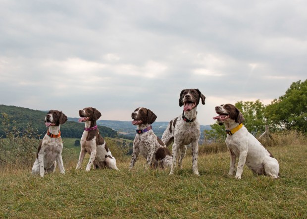 img_0596-photoshopped