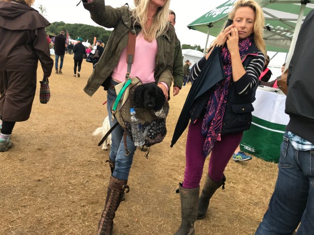 06790CB2-F3BA-49CF-80B0-601EF6CE71BF