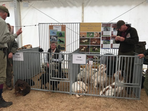 22F451A4-F062-44FE-B880-35E984EECBC3