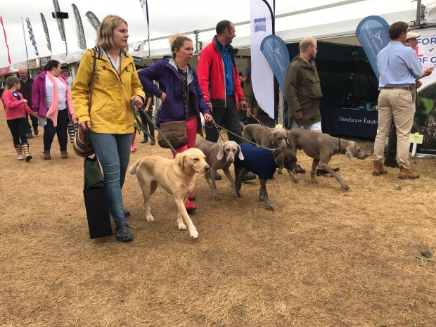 51108A50-B2FD-4EE2-AE5D-63D45D577AD2