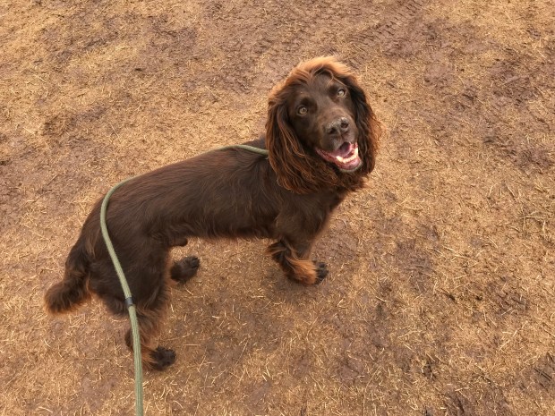 BBC8E8F9-4A91-4ED6-BAD9-2CC36DAC6BA9