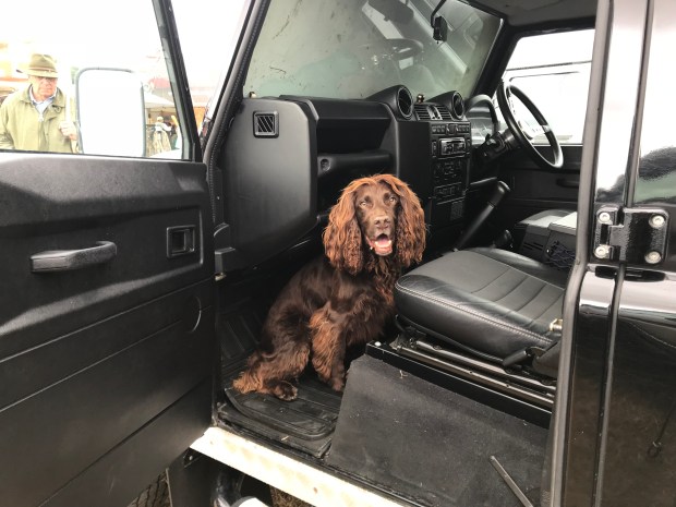 EFF5342D-C42D-4CF4-BD64-3963646E724C