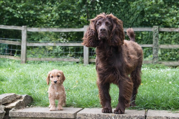 IMG_5616.jpg photoshopped