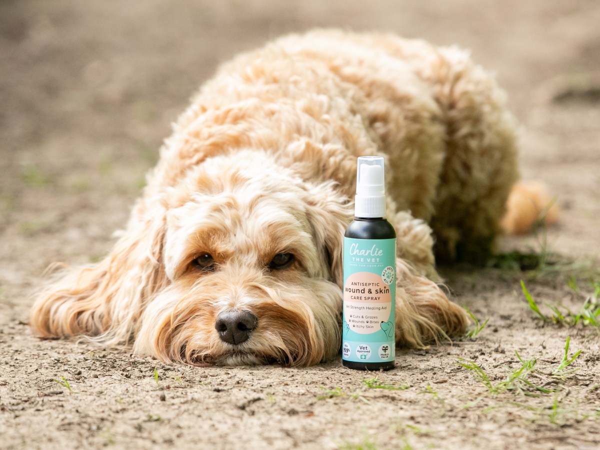 Charlie the Vet Wound & Skin Care&nbsp;Spray