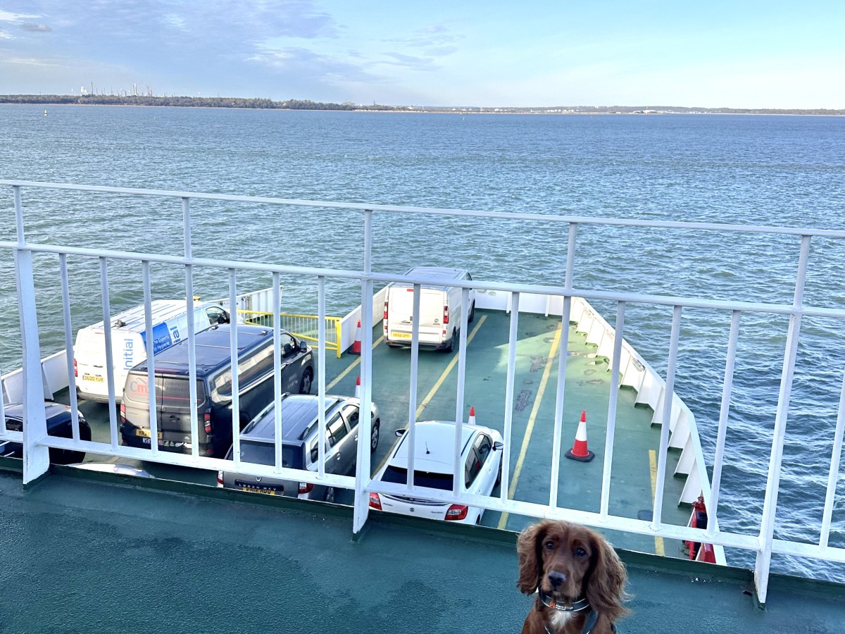 Dog Friendly Ferry – to the Isle of&nbsp;Wight