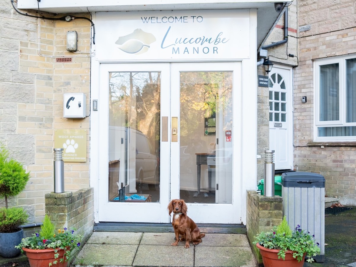 Visiting the Isle of Wight with a&nbsp;Dog