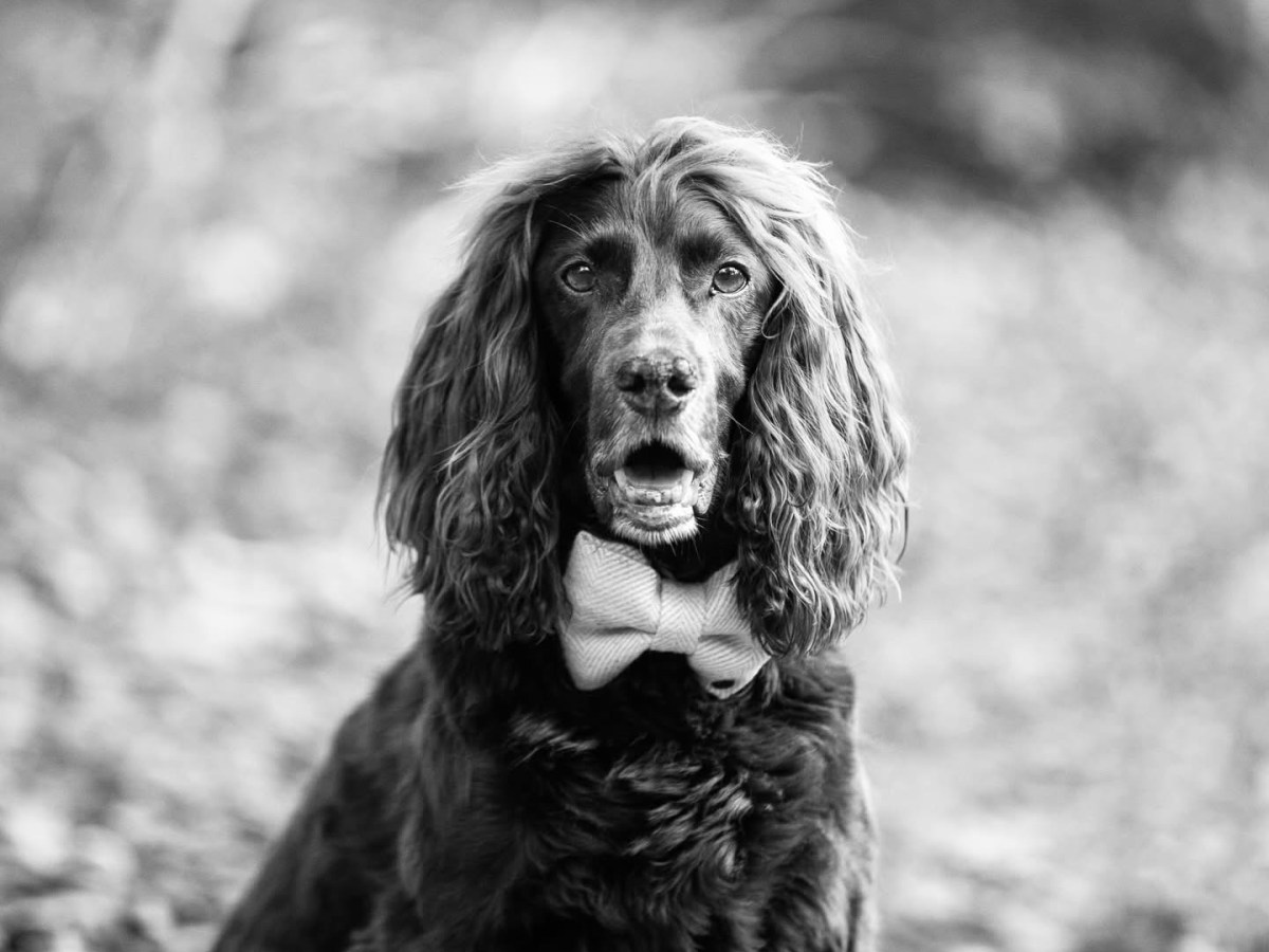 One month without&nbsp;Woody