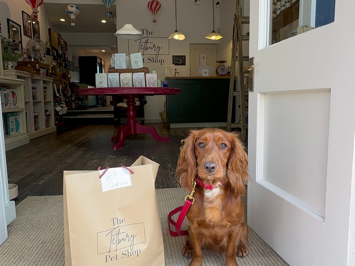 The best Pet Shops in the&nbsp;Cotswolds